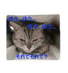 ぱふぃとぴのとその仲間達！（個別スタンプ：24）