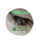 ぱふぃとぴのとその仲間達！（個別スタンプ：27）