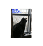 ぱふぃとぴのとその仲間達！（個別スタンプ：28）