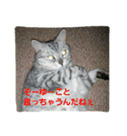 ぱふぃとぴのとその仲間達！（個別スタンプ：34）