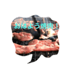 夏だ！キャンプだ！焼肉だぁ！（個別スタンプ：1）