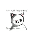 ねこ様の日常生活（個別スタンプ：1）