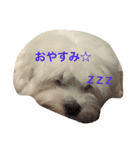 ハッピーゆきまる②（個別スタンプ：5）