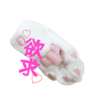 ポンの日常（リアル猫）（個別スタンプ：1）