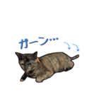 はなちゃんスタンプ♪（個別スタンプ：9）