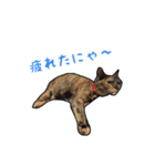 はなちゃんスタンプ♪（個別スタンプ：10）