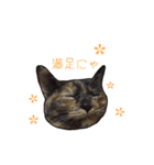 はなちゃんスタンプ♪（個別スタンプ：12）