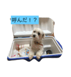 我が家の家族♡（個別スタンプ：30）