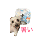 我が家の家族♡（個別スタンプ：37）