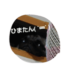 愛しの小太郎君（個別スタンプ：3）