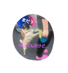 愛しの小太郎君（個別スタンプ：8）