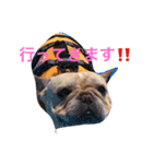金大ブラザーズ！（個別スタンプ：16）