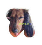 スーの日常（個別スタンプ：4）