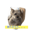 そらとさくらともも(2)（個別スタンプ：11）