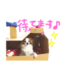 みるく第2弾（個別スタンプ：11）