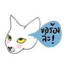 Happy Cat in August - Nice white cat.（個別スタンプ：26）