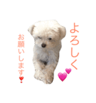 ワッフルともずく（個別スタンプ：14）
