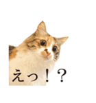 ラムわさひじ（個別スタンプ：6）