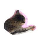 ねこ の みーこ（個別スタンプ：25）