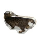 ねこ の みーこ（個別スタンプ：26）