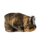 ねこ の みーこ（個別スタンプ：29）