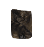 ねこ の みーこ（個別スタンプ：33）