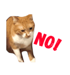 りなまりゅの猫stamp！（個別スタンプ：10）