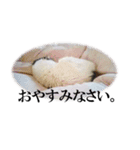 アロエはステキ（個別スタンプ：16）