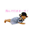 みーこだよ。1（個別スタンプ：1）