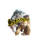 PUFFYとララ美（個別スタンプ：3）