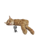 lovely cat emoji（個別スタンプ：5）