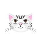 Man ＆ Cat（個別スタンプ：6）