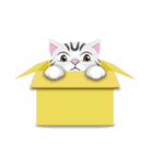 Man ＆ Cat（個別スタンプ：10）