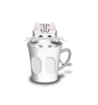Man ＆ Cat（個別スタンプ：14）