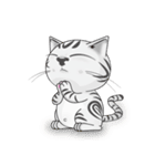 Man ＆ Cat（個別スタンプ：16）