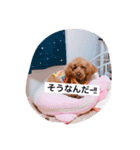 金谷さんちのはなちゃん2（個別スタンプ：9）