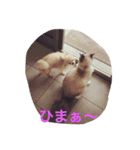 しっぽ‼︎（個別スタンプ：3）