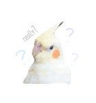 ライちゃんはライちゃん（個別スタンプ：2）