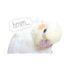 ライちゃんはライちゃん（個別スタンプ：4）