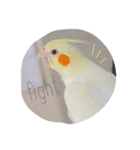 ライちゃんはライちゃん（個別スタンプ：8）