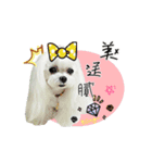 Cute doll princess finally move up！（個別スタンプ：4）
