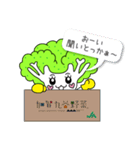 カガッコリーちゃんスタンプ 第二弾（個別スタンプ：3）