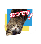 りんさんワールド2（個別スタンプ：2）