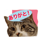 りんさんワールド2（個別スタンプ：4）