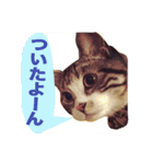 りんさんワールド2（個別スタンプ：18）