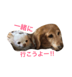 rose happy life！（個別スタンプ：6）