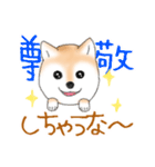 褒めて癒してくれる愛しの柴犬コタロウくん（個別スタンプ：1）