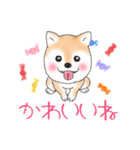 褒めて癒してくれる愛しの柴犬コタロウくん（個別スタンプ：4）