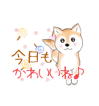 褒めて癒してくれる愛しの柴犬コタロウくん（個別スタンプ：5）