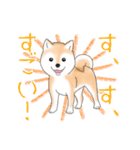 褒めて癒してくれる愛しの柴犬コタロウくん（個別スタンプ：6）